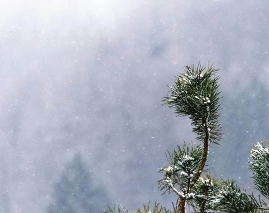 artiom-vallat-hoO_CP3Eaw4-unsplash